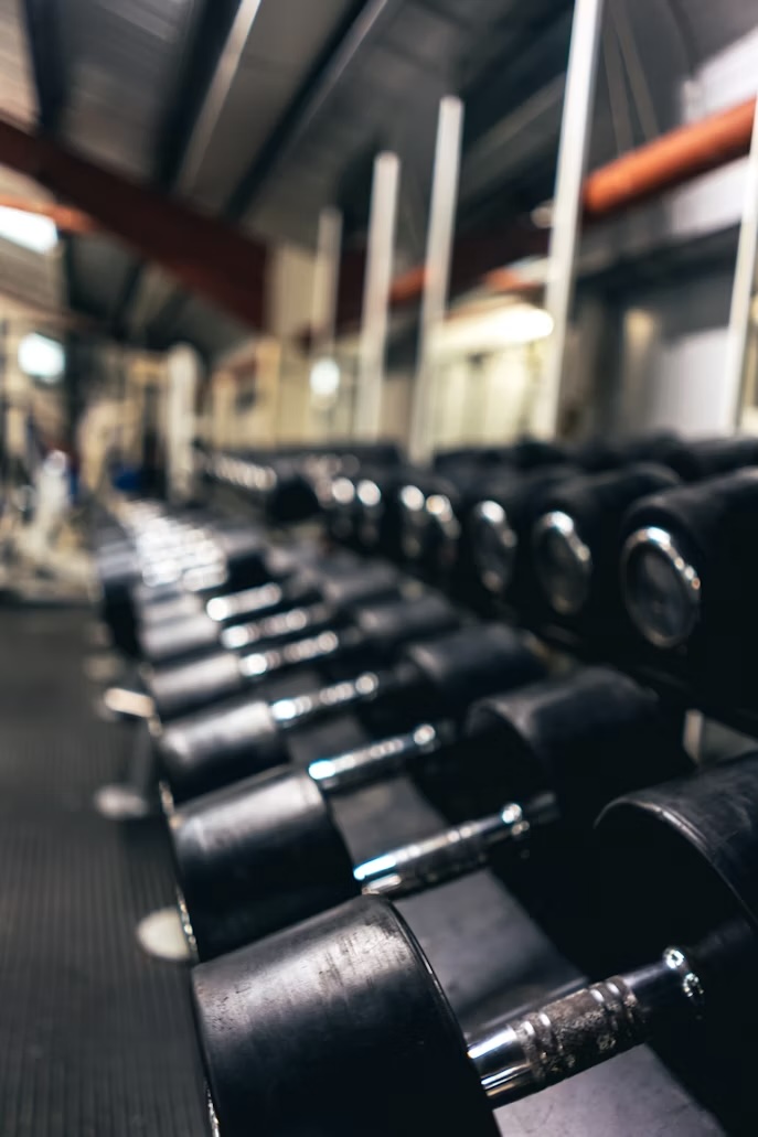Row of dumbbells in a gym